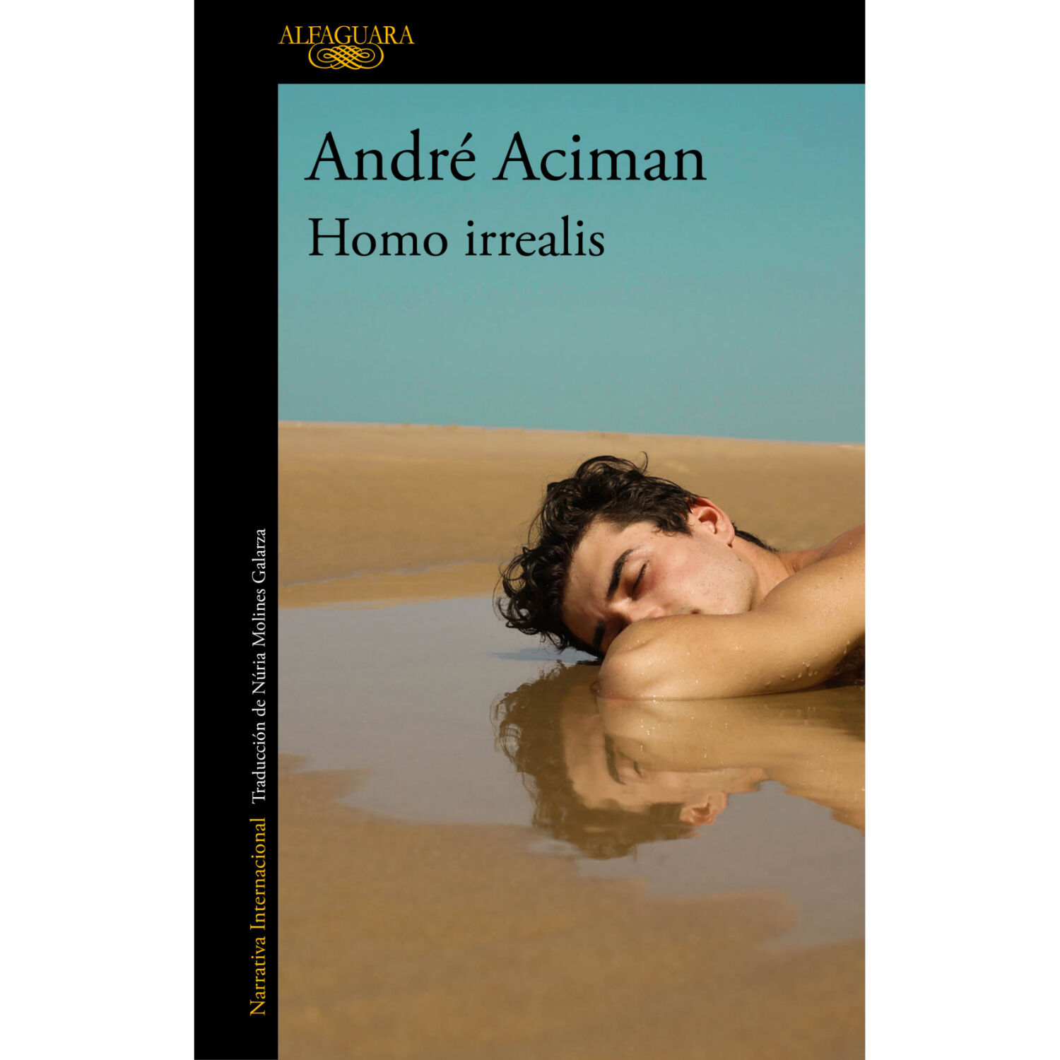 Homo Irrealis image number 0.0