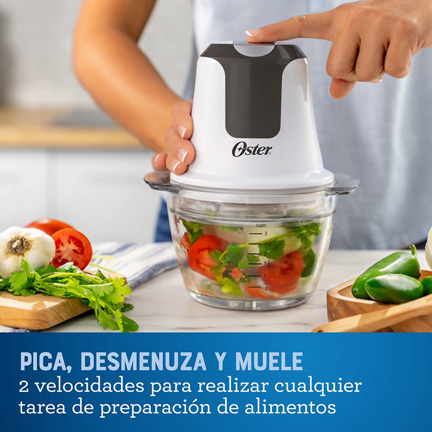 Mini Picadora Oster 3 Tazas Con Taz&oacute;n De Vidrio Fpstfp3340 image number 1.0