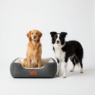 Cama Para Mascotas Pawzen Ortop&eacute;dica M70x50