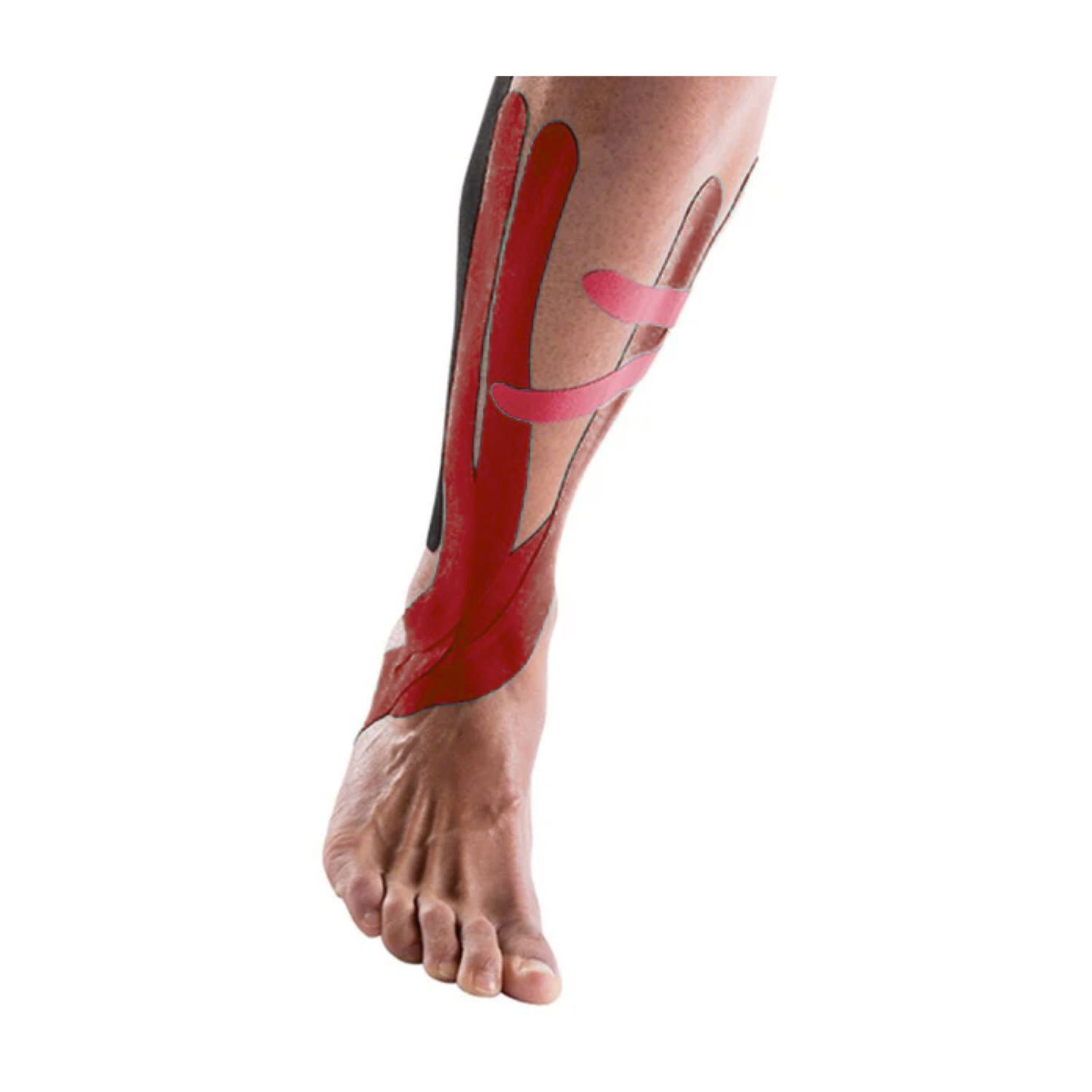 Cinta Kinesiol&oacute;gica Tape Neuromuscular 500cm X 5cm Roja image number 4.0