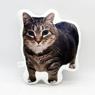 Almohada Con Gato Estampado Divertido C&oacute;moda 26 Cm