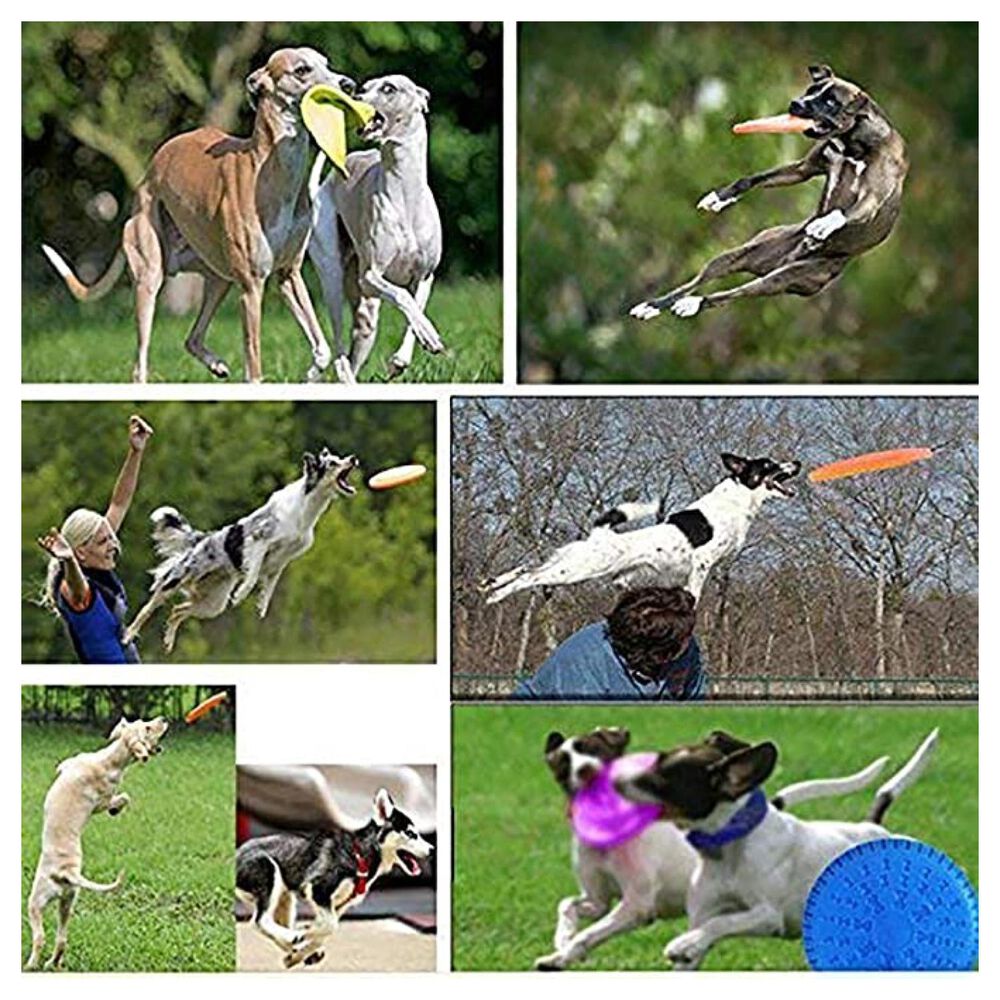 Frisbee Juguete Interactivo Y De Entrenamiento Para Perros image number 3.0