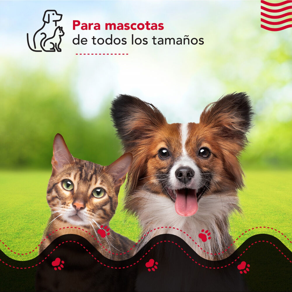 M&aacute;quina Corta Pelo Thor Cordless Usb Pet Clipper image number 7.0
