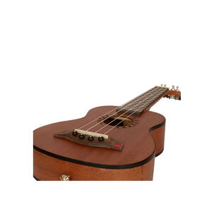 Ukelele De 21 Pulgadas Soprano + Estuche Valenciana - Ps