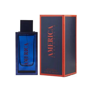 Perry Ellis America Men Edt 100ml