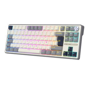 Teclado Mecánico Español Rk R87pro 80% Tkl - Royal Kludge