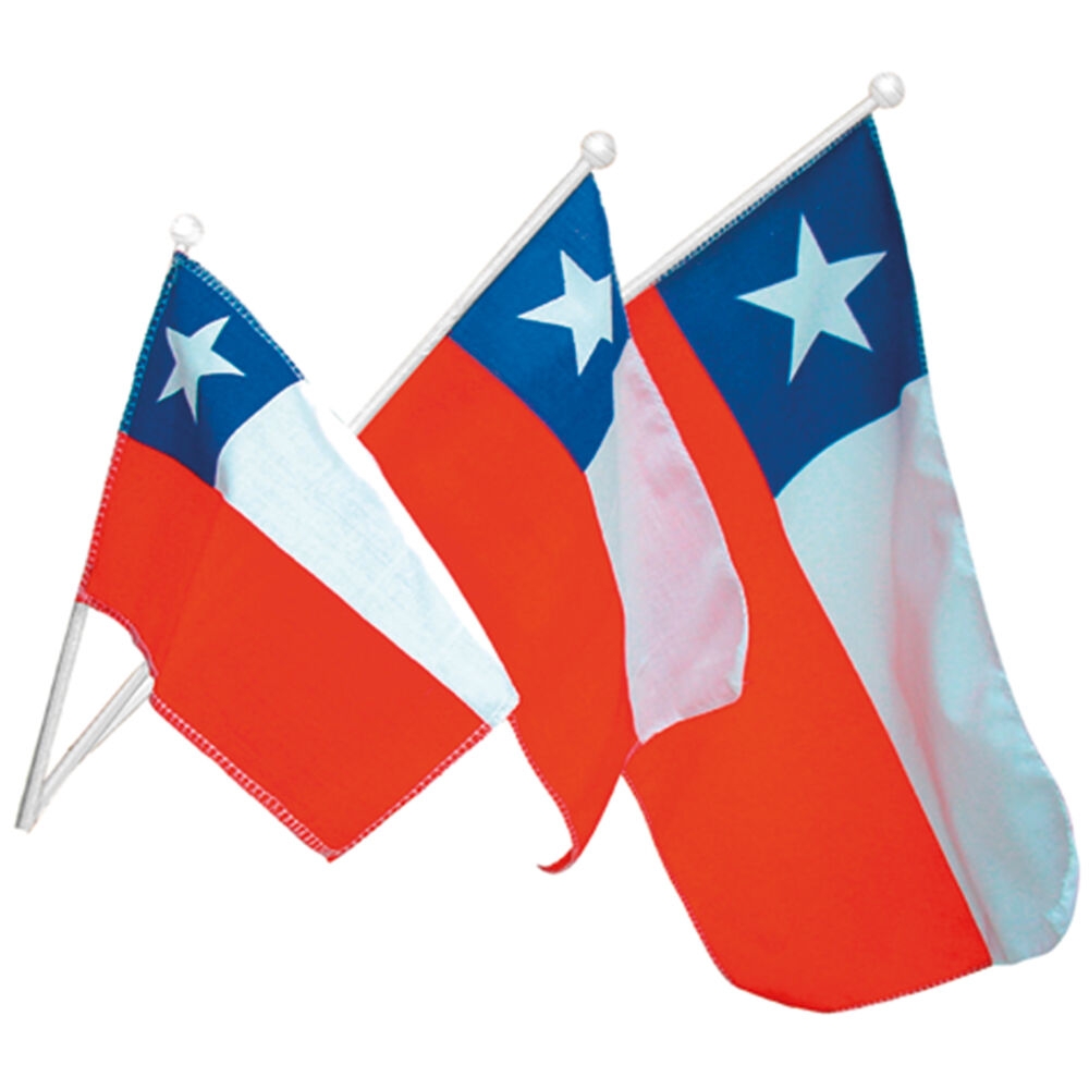 Bandera Genero 16x24 Cm Mastil Plastico 30 Cm Big Party image number 0.0