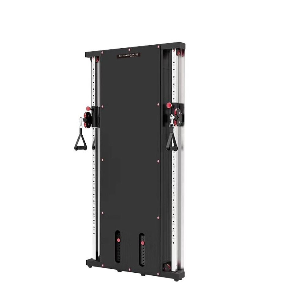 Wall Mounted Multi Functional Trainer image number 0.0