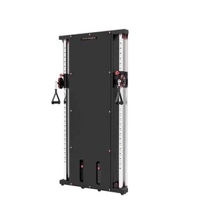 Wall Mounted Multi Functional Trainer