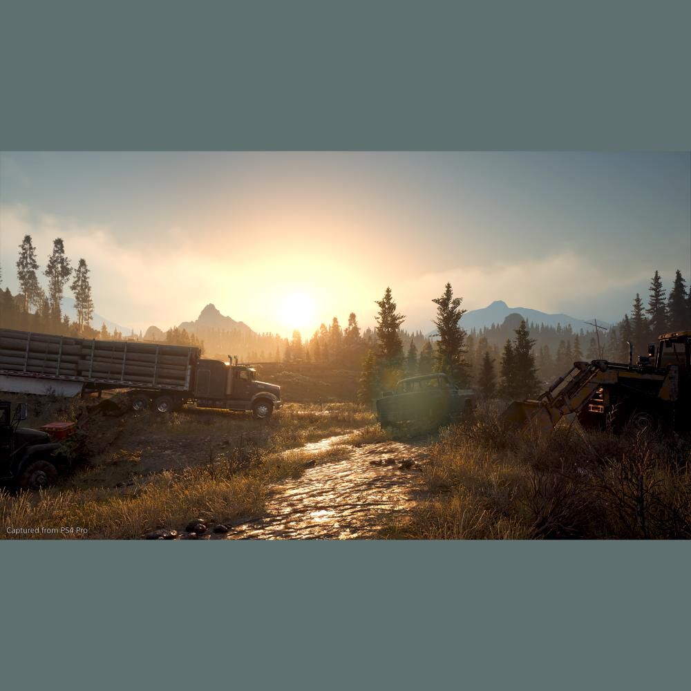 Juego PS4 Sony Days Gone image number 5.0