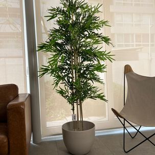 2 X 1 Bamboo Premium 150 Cm. / 1095 Hojas Arbusto Real