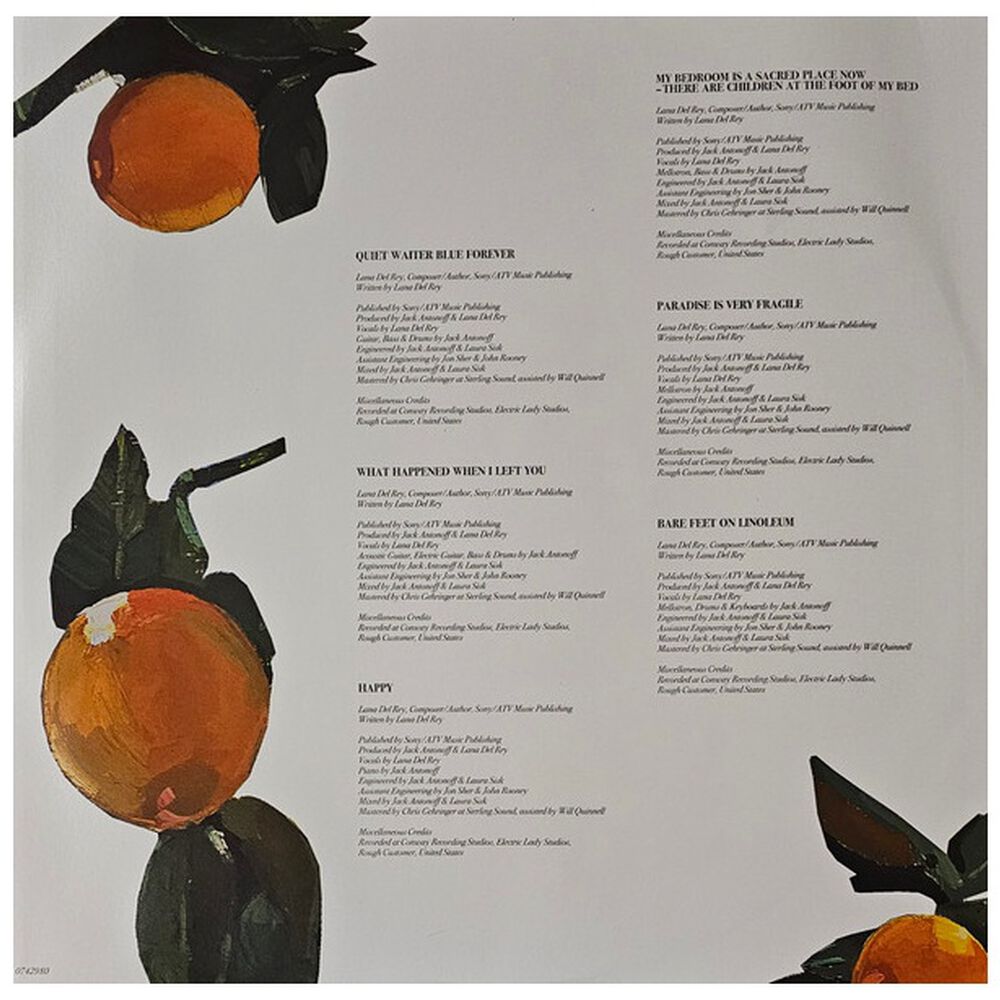 Lana Del Rey - Violet Bent Backwards Over The Grass | Vinilo image number 5.0