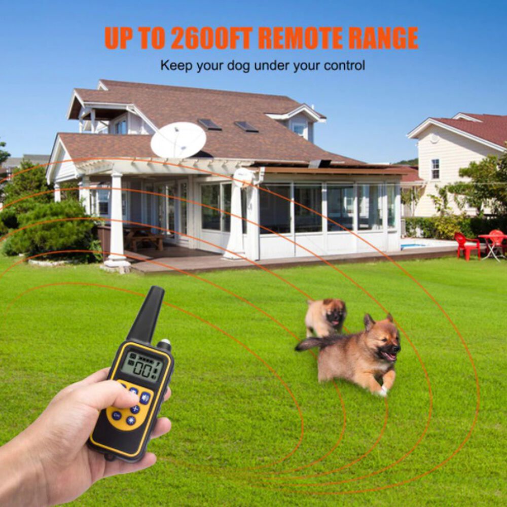 Collar Electrico De Adiestramiento Perros Original Recargable Usb Entrenamiento Canino image number 7.0