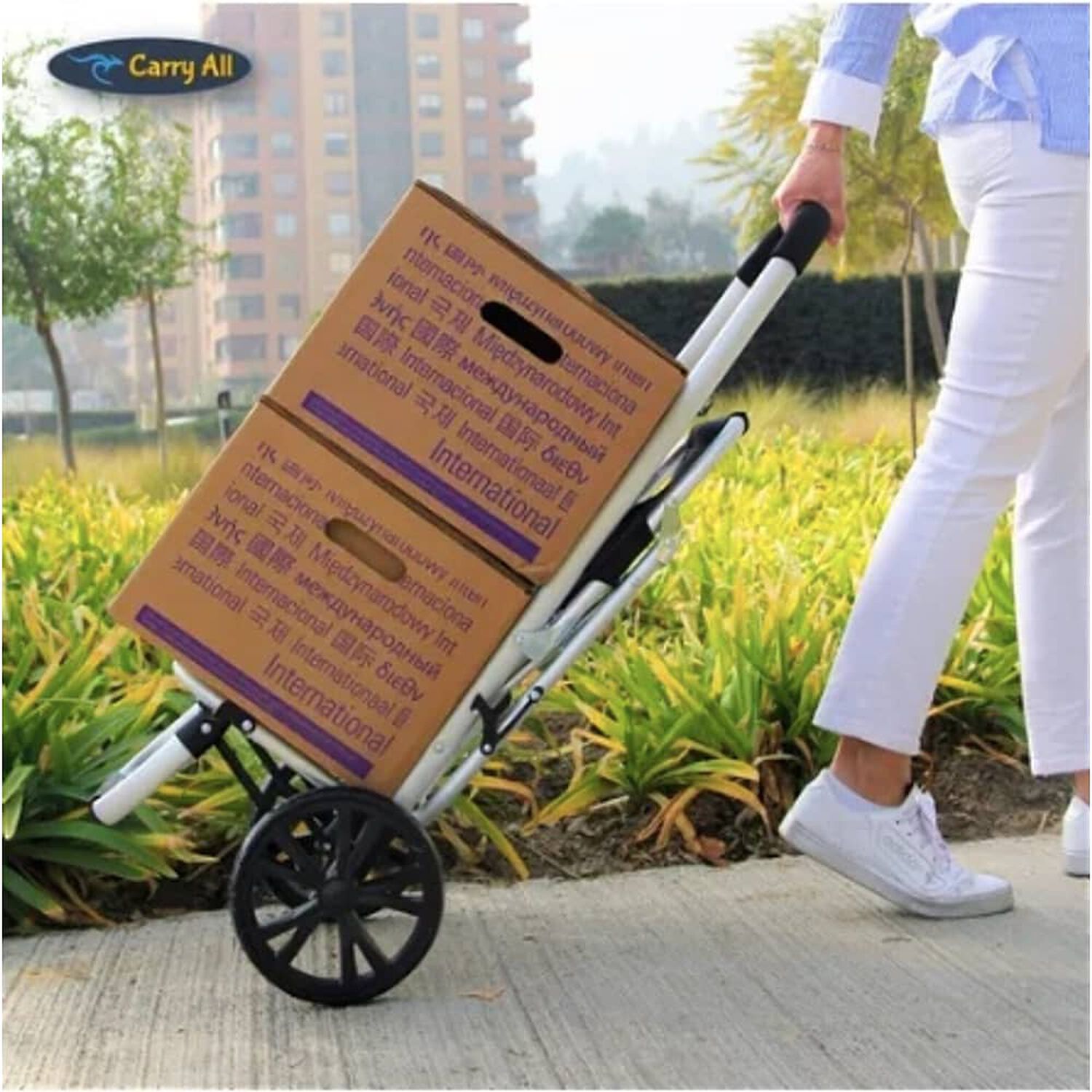 Carrito De Compras Plegable Con Silla image number 4.0