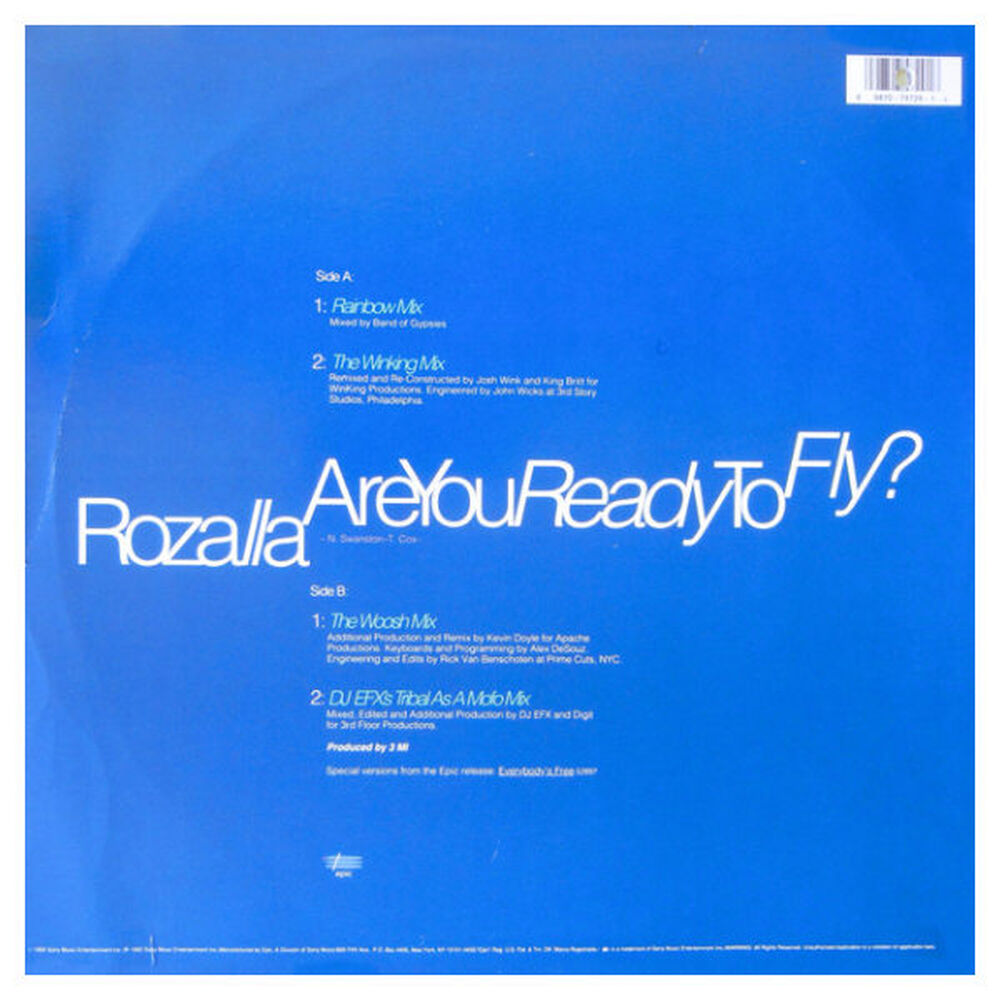Rozalla - Are You Ready To Fly? | 12" Maxi Single Usado image number 1.0