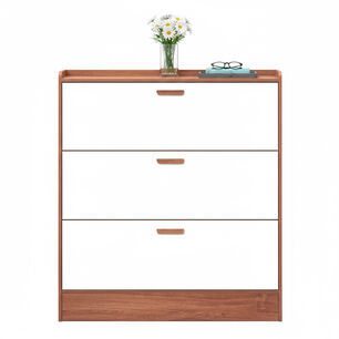 Zapatera Mueble Organizador 3 Niveles Xxl Para 25 Pares
