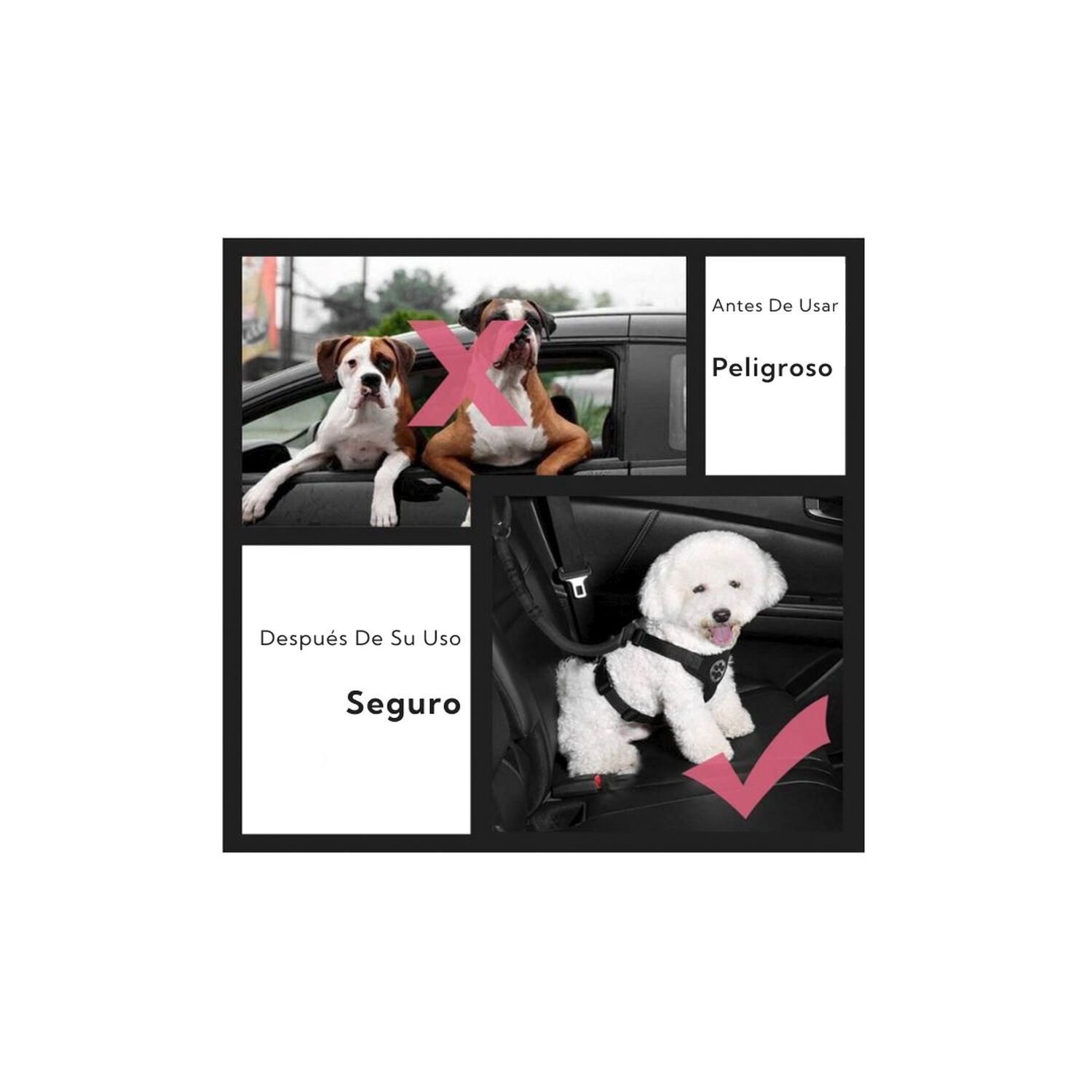 Correa Para Mascotas Pro Outdoor image number 5.0