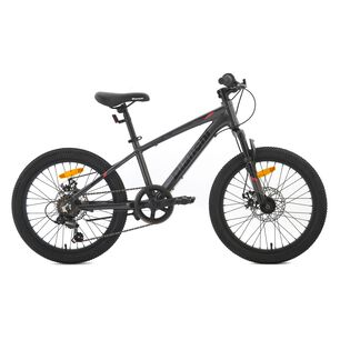 Bicicleta De Paseo Bianchi Classic 20 St / Aro 20