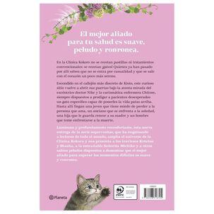 Te Receto Otro Gato (tapa R&uacute;stica) - Syou Ishida | Libro