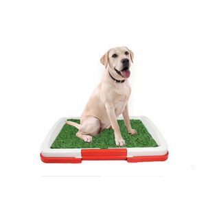 Ba&ntilde;o Ecol&oacute;gico Para Perros C&eacute;sped Sint&eacute;tico Con Bandeja Grande Talla L