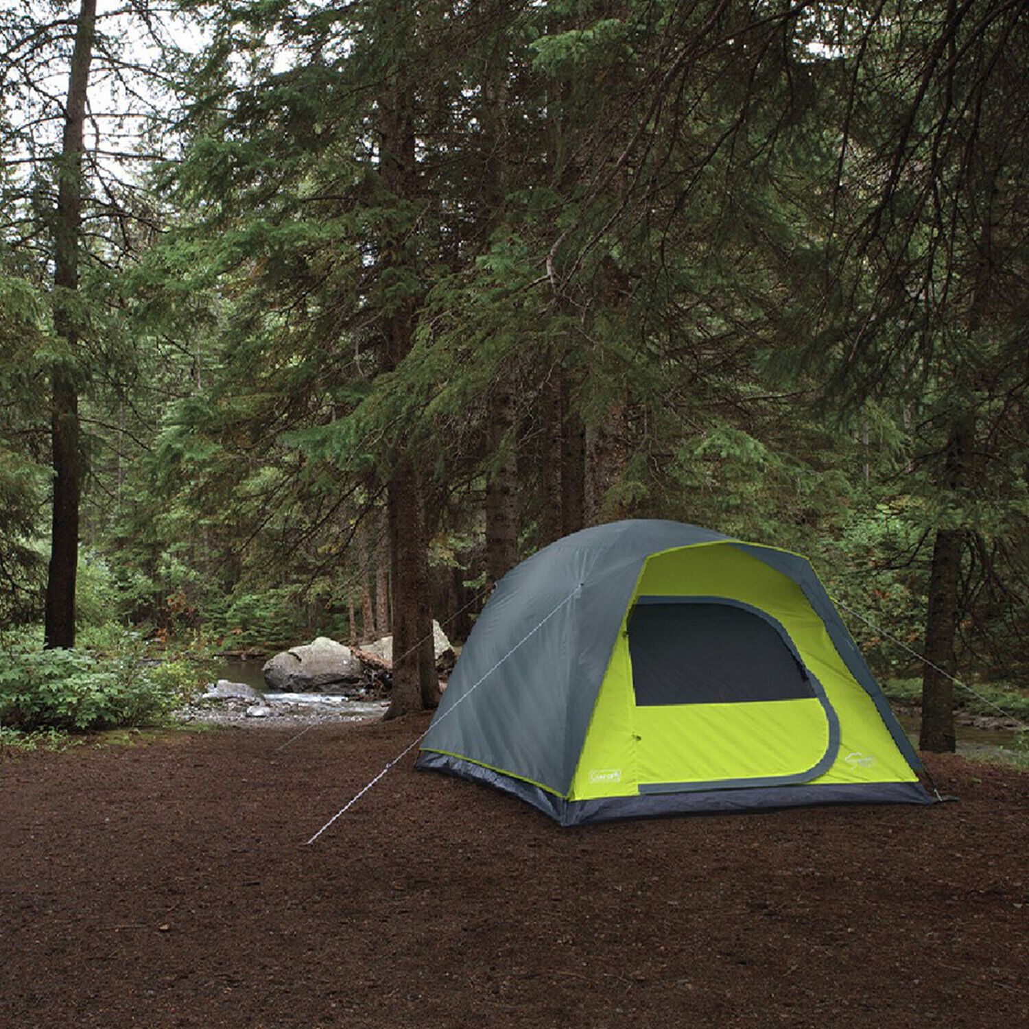 Carpa 4 Personas Coleman Amazonia image number 3.0