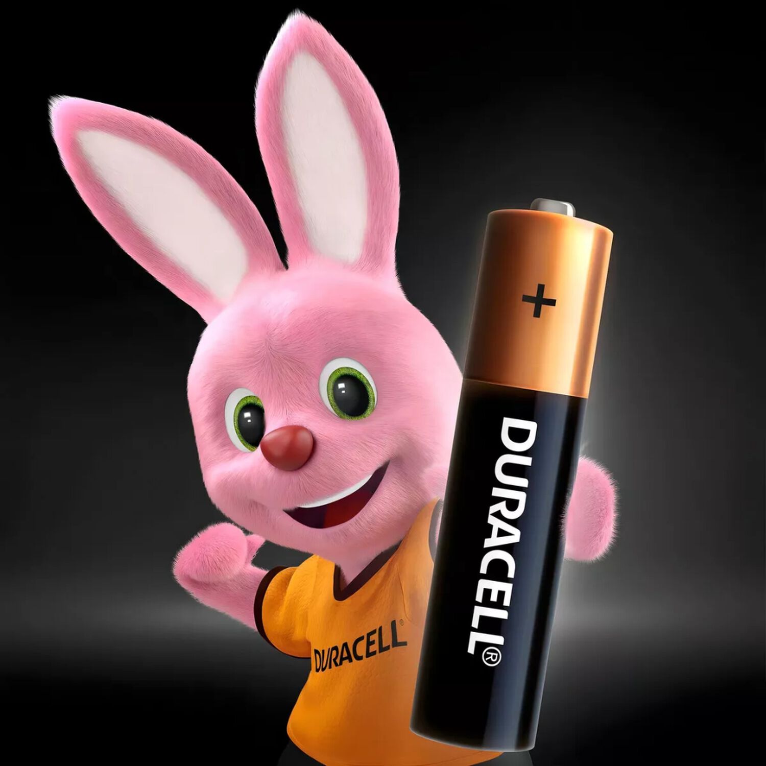 Duracell Pack 8 Unidades Pila Alcalina Aaa Blister image number 2.0