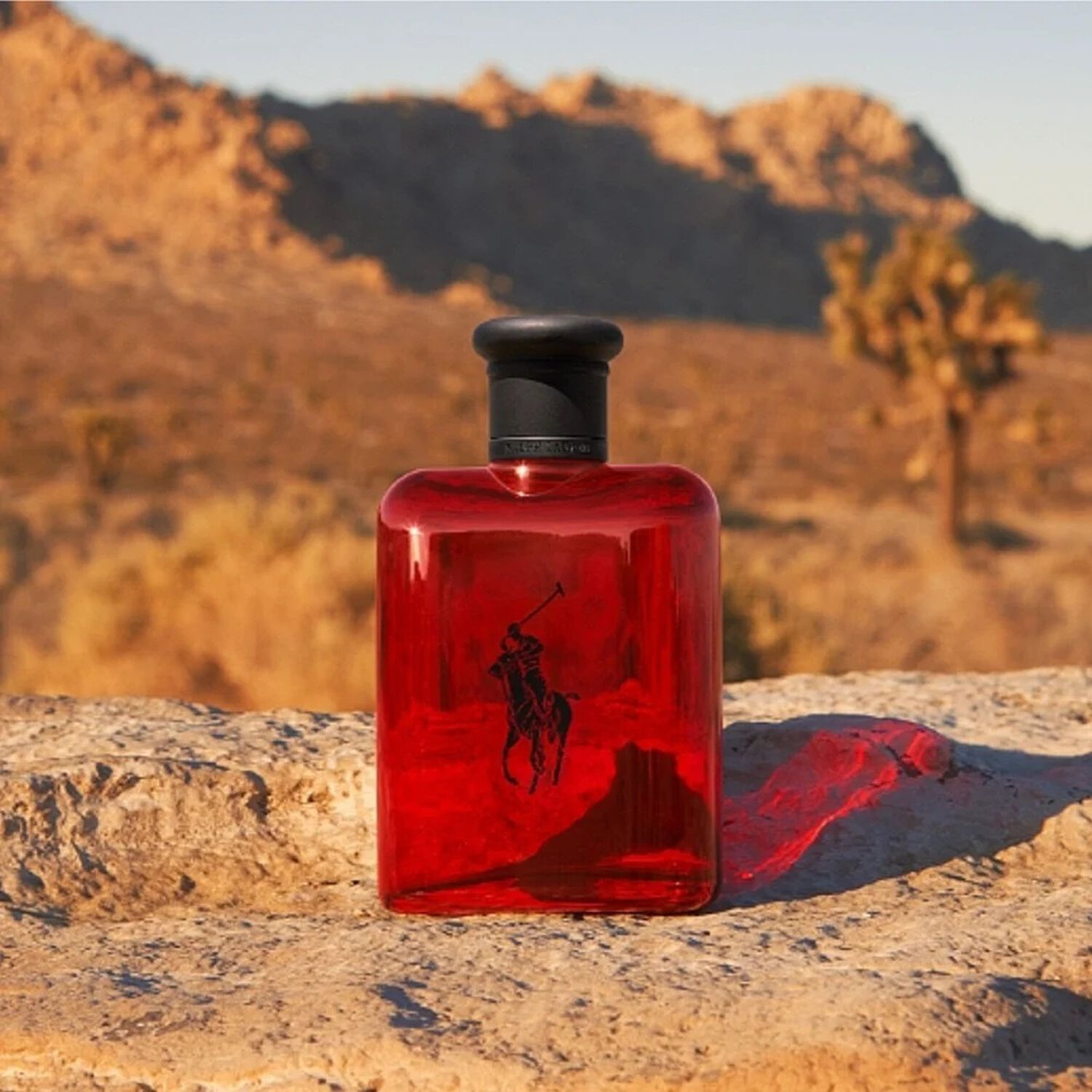Polo Red 125 Ml Edt Ralph Lauren image number 2.0
