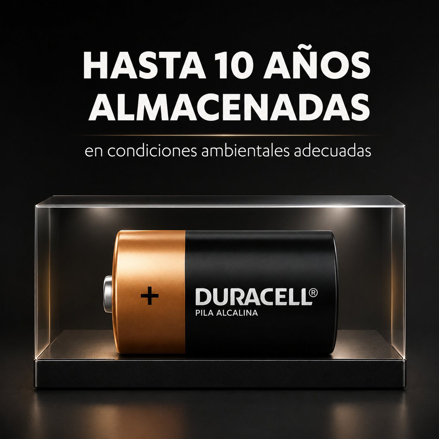 Pila Duracell D Alcalina Extra Duraci&oacute;n image number 4.0