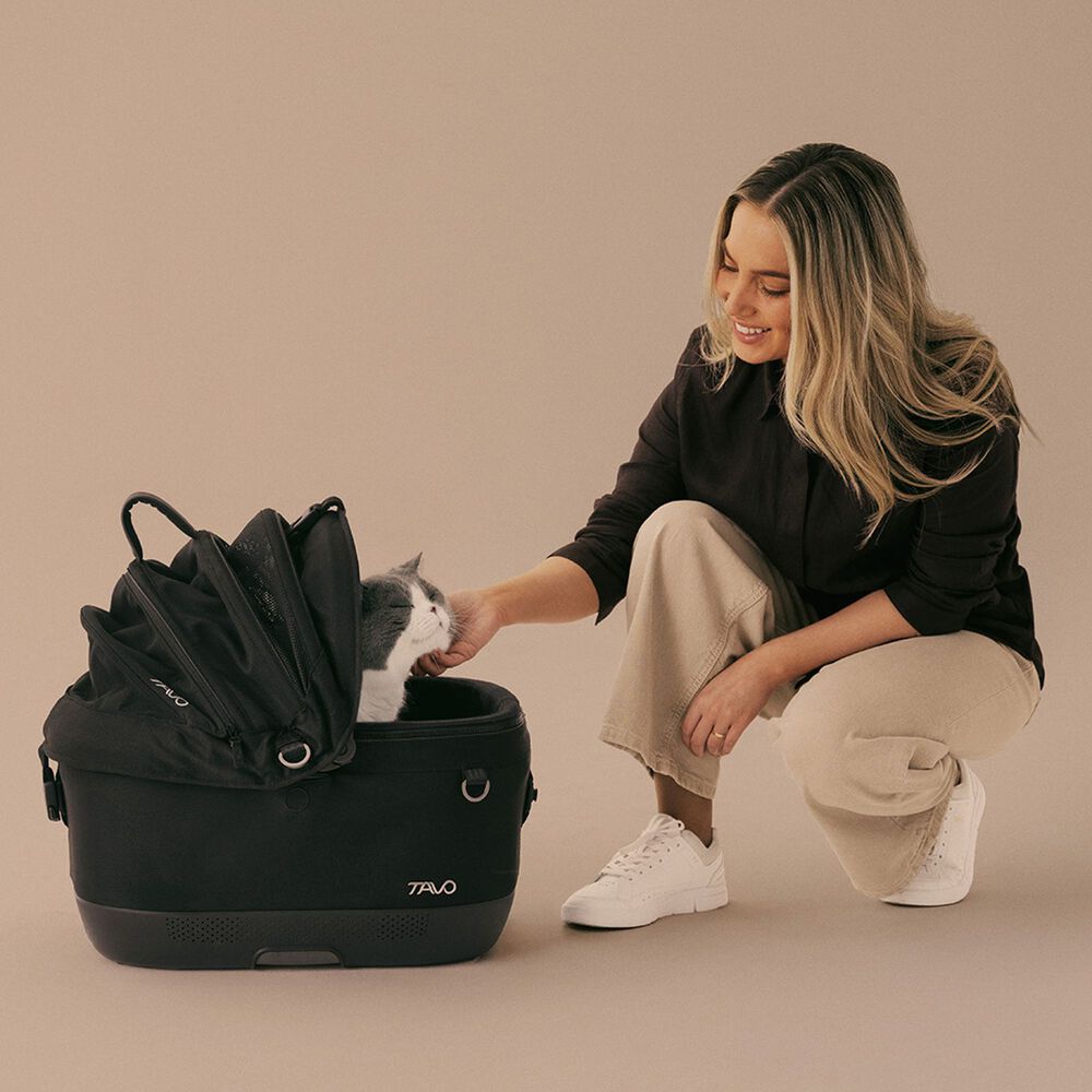 Silla Auto Mascotas Maeve Iso5x Onyx image number 7.0