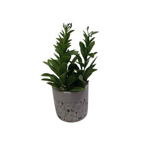 Planta Artificial Maceta Cemento 23 Cm