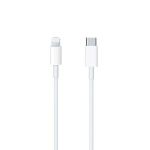 Cable De Datos Apple Lightning A Usb-c Original 2mt