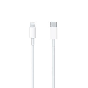 Cable De Datos Apple Lightning A Usb-c Original 2mt