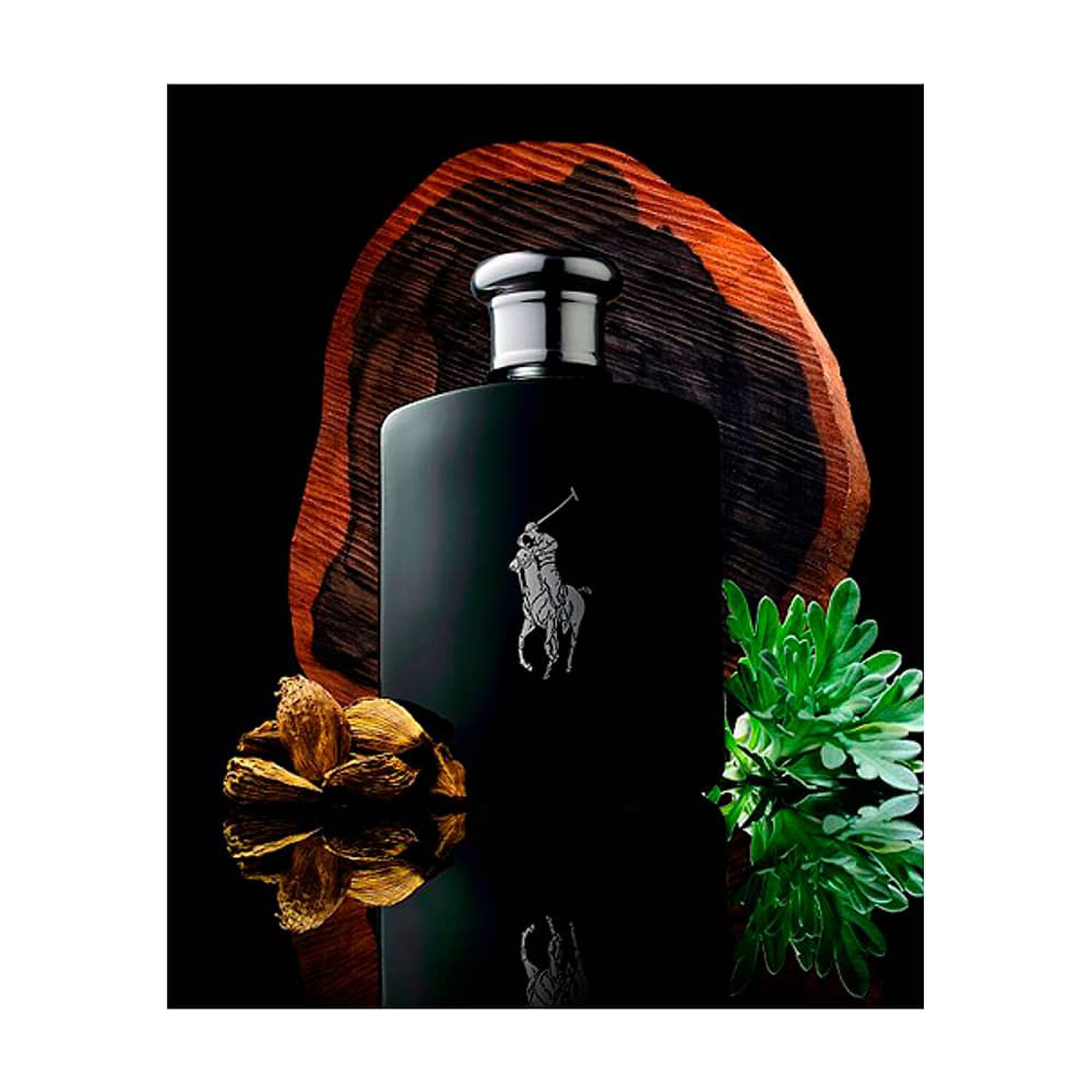 Polo Black 125 Ml Edt Ralph Lauren image number 3.0
