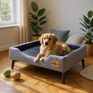 Cama De Mascotas - Talla L Extra (90x70 Cm) / Pata Metalica 12 Cm