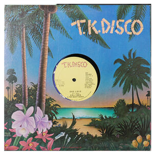 Celi Bee And The Buzzy Bunch - Superman | 12" Maxi Single Usado