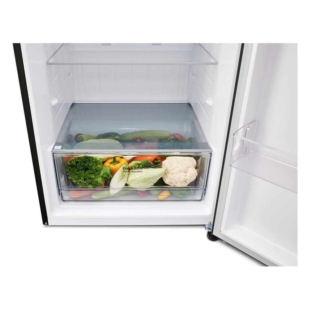 Refrigerador Top Freezer LG VT45APMC.AEPPECL / No Frost / 449 Litros / A+ image number 10.0