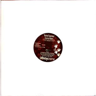 Boyzone - Mystical Experience/experiencia Religiosa| 12" Maxi Single Usado