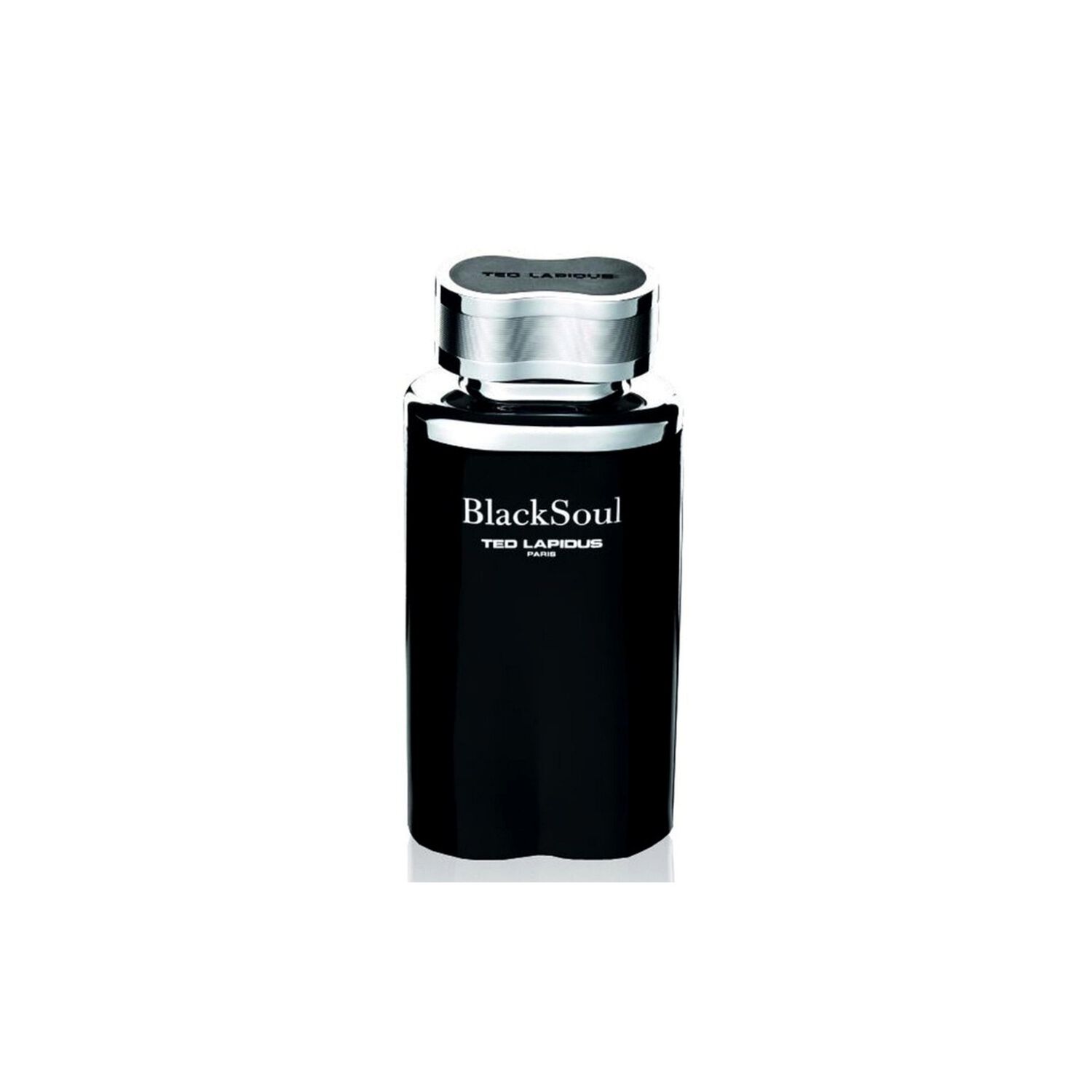 Ted Lapidus Black Soul Men Edt 100ml image number 1.0