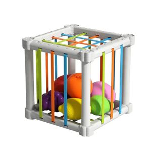 Cubo Did&aacute;ctico Sensorial De Frutas Con Cuerdas El&aacute;sticas