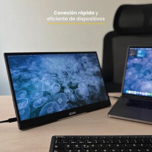 Pantalla Monitor Port&aacute;til 15.6 Led Full Hd Nexview Levo