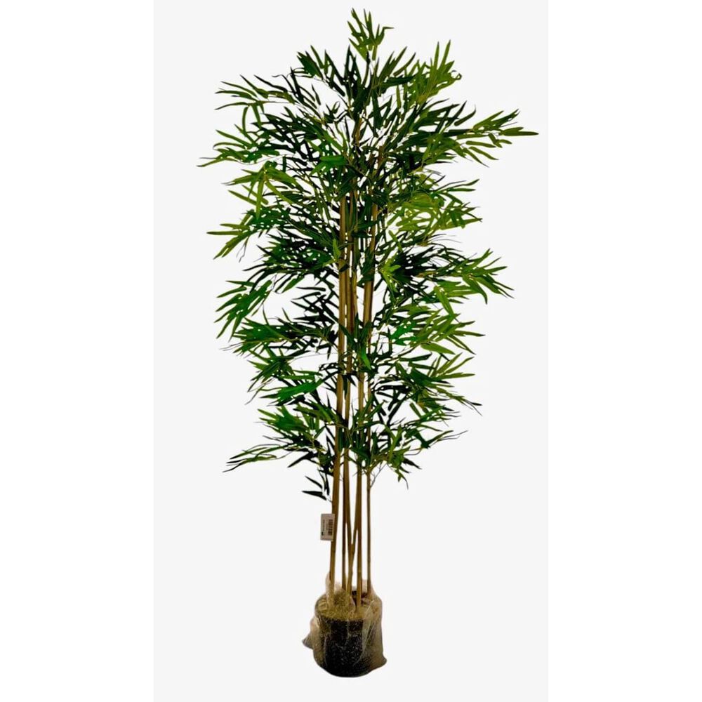 2 X 1 Bamboo Premium 150 Cm. / 1095 Hojas Arbusto Real image number 2.0