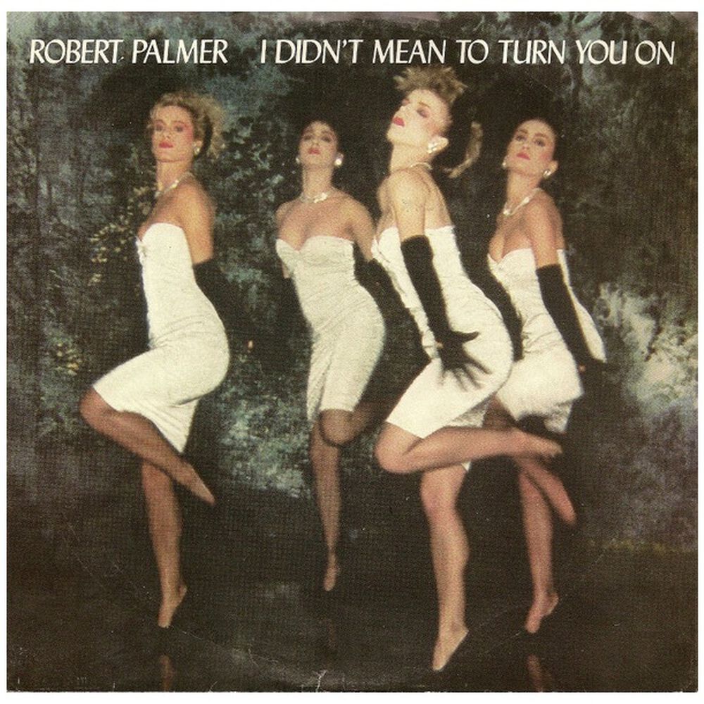 Robert Palmer - I Didn't Mean To Turn You On | 7" Single Vinilo Usado image number 0.0