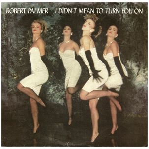 Robert Palmer - I Didn't Mean To Turn You On | 7" Single Vinilo Usado