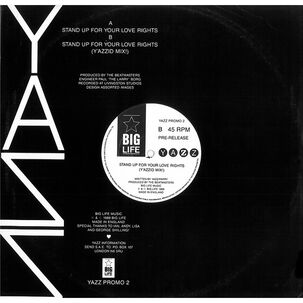 Yazz - Stand Up For Your Love Rights | 12" Maxi Single Usado