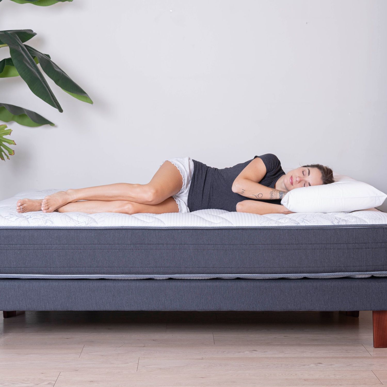 Cama Europea Flex Europedic Dual / 1.5 Plazas / Base Normal + Respaldo image number 3.0