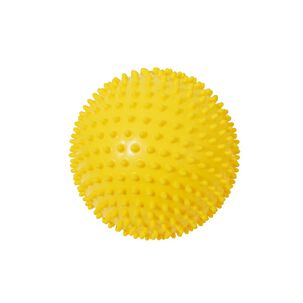 Pelota Puerco Esp&iacute;n 20 Cm