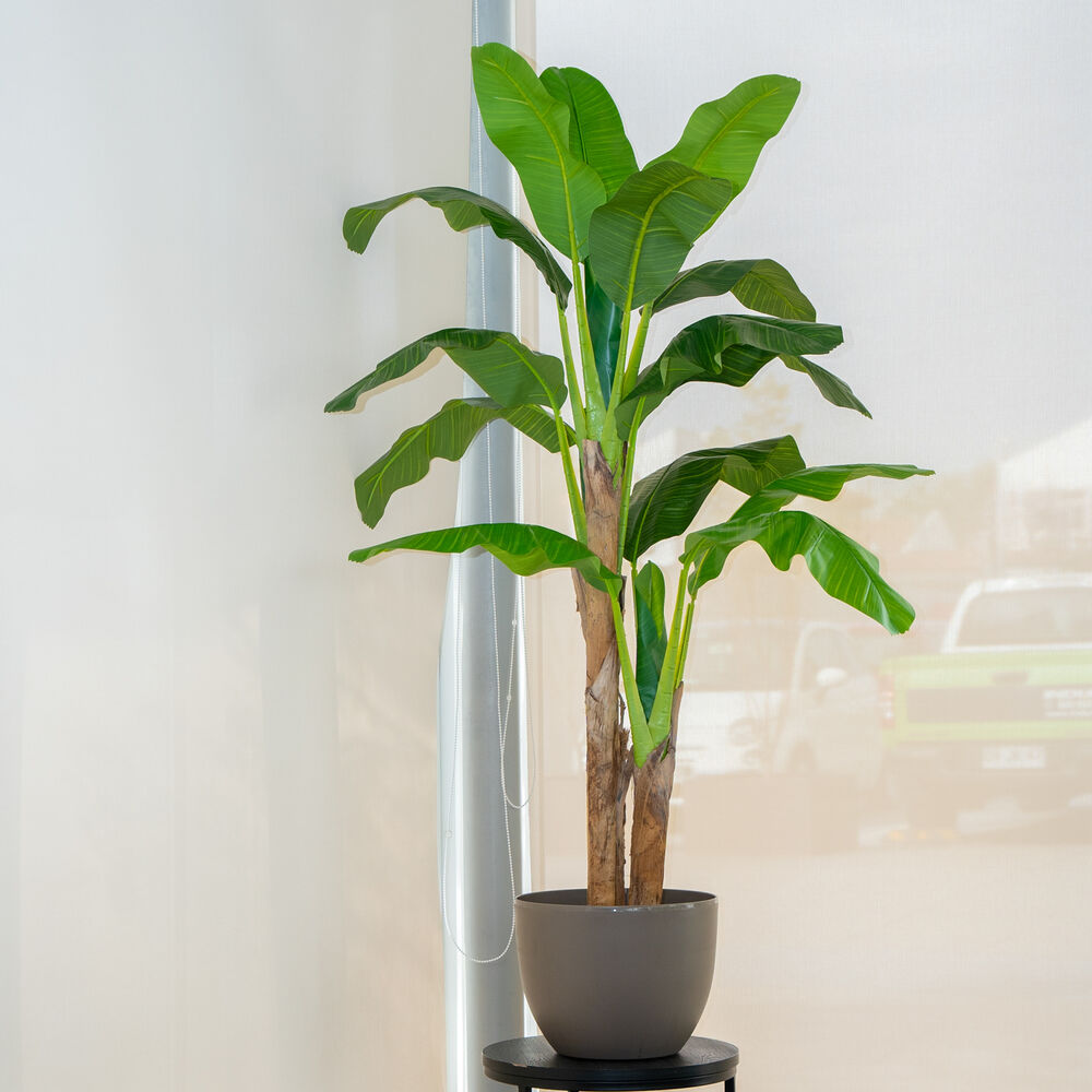 Planta Artificial Banano Premium 180 Cm. / 14 Hojas / Arbusto Real image number 3.0