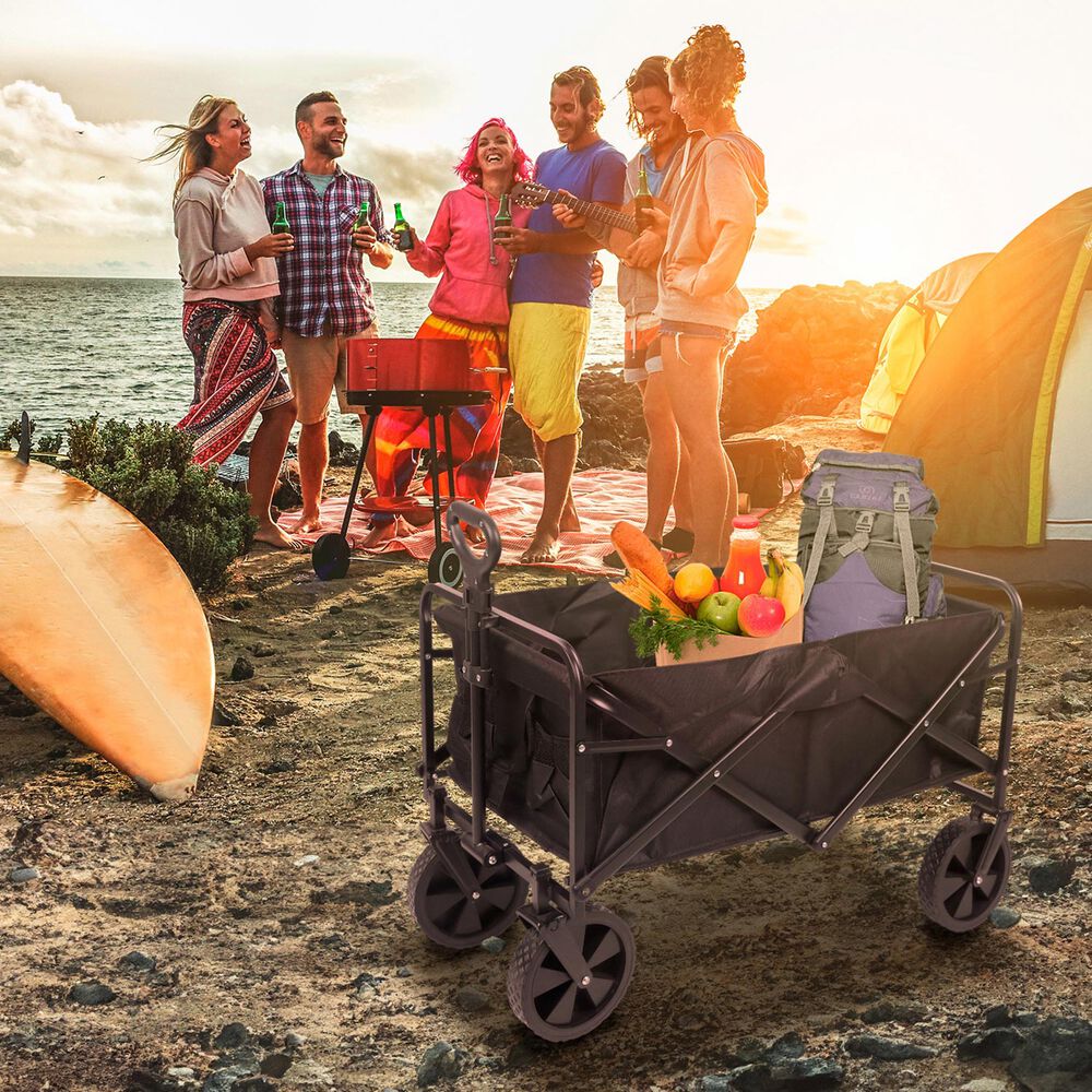 Carro De Camping Plegable Negro image number 1.0