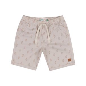 Bermuda Niño Topsis