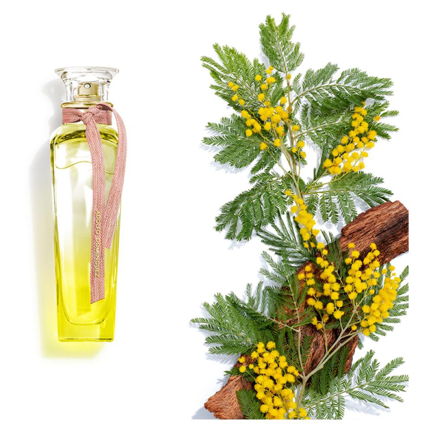 Perfume mujer Agua Fresca Mimosa Coriandro Edt 120 Ml Adolfo Dominguez image number 2.0